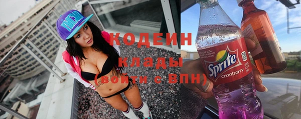 индика Мегион