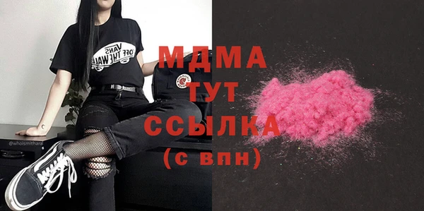 индика Мегион