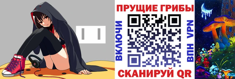 Галлюциногенные грибы Psilocybine cubensis  Ессентукская 